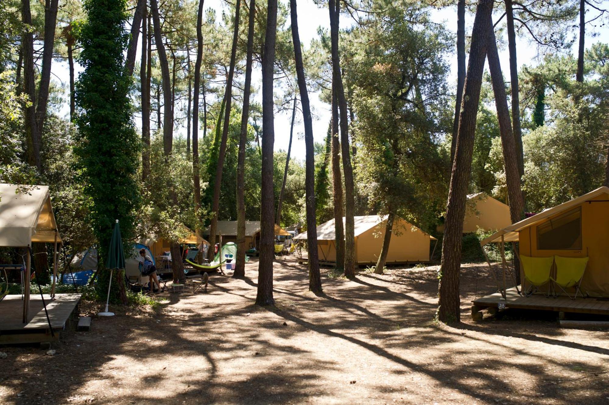 Huttopia Oleron Les Chenes Verts Dolus d'Oléron Rom bilde