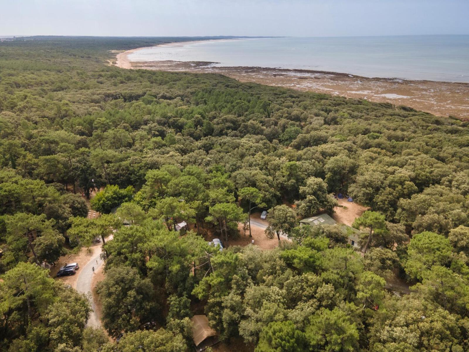 Huttopia Oleron Les Chenes Verts Dolus d'Oléron Eksteriør bilde